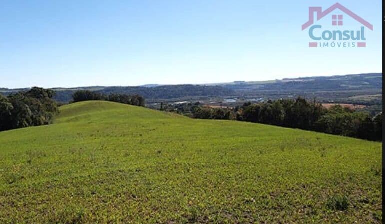 Área Rural 11,00 Alqueires - Lagoão - Balsa Nova-PR!