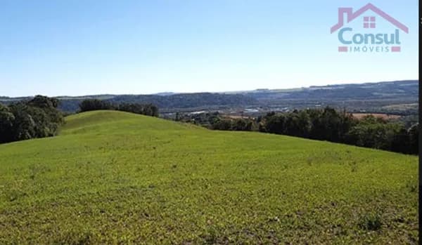 Área Rural 11,00 Alqueires - Lagoão - Balsa Nova-PR!