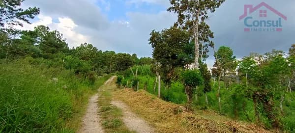 Área Rural 5,42 Alqueires - Campina Vargedo!