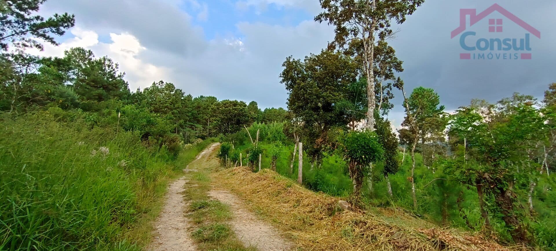 Área Rural 5,42 Alqueires - Campina Vargedo!