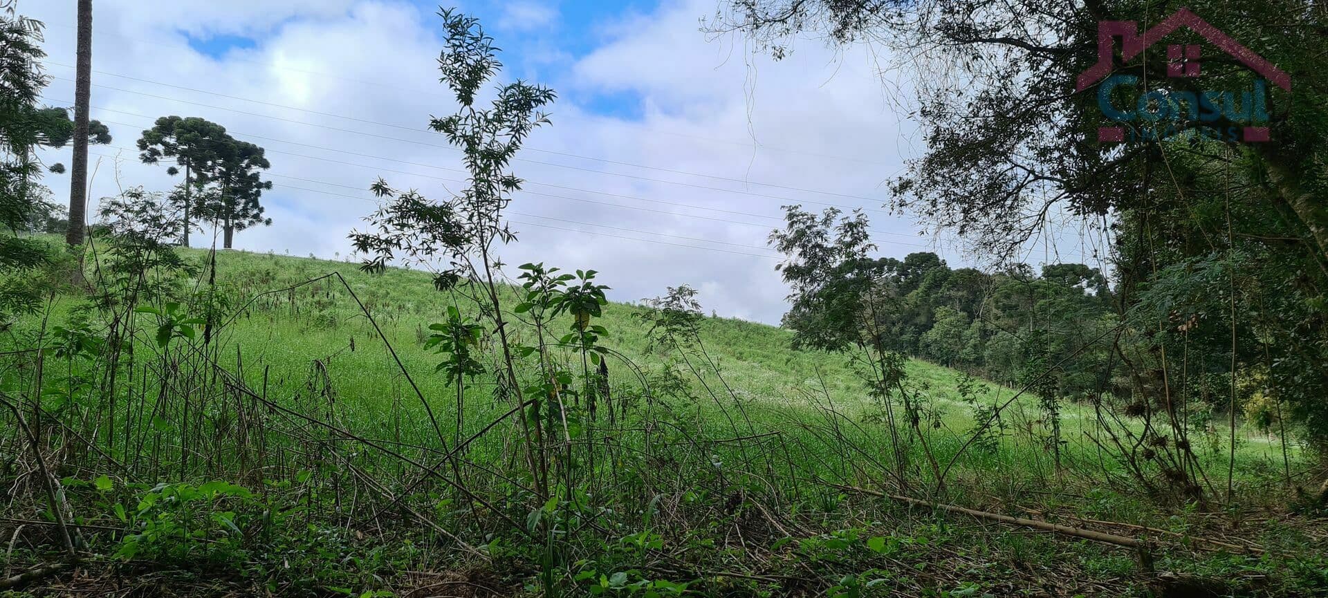 Área Rural C -20.012m² - Chácara para Formar - Rodeio Santo Antonio!