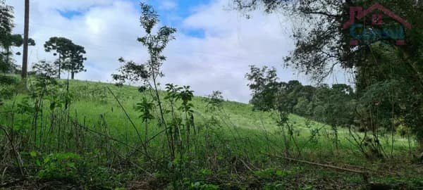 Área Rural E - Chácara para Formar - Rodeio Santo Antonio!