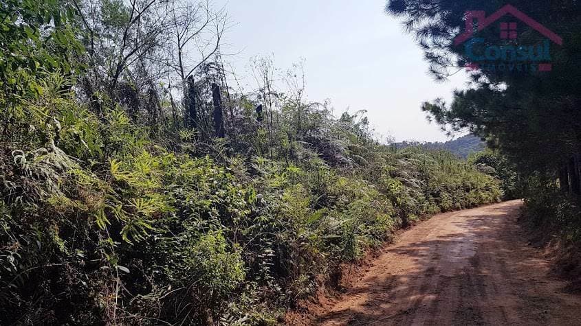Área Rural para formar Chácara