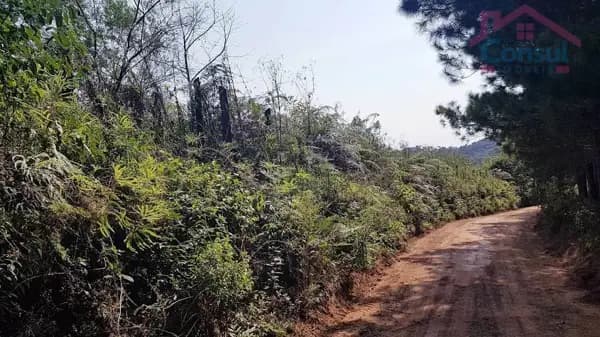 Área Rural para formar Chácara
