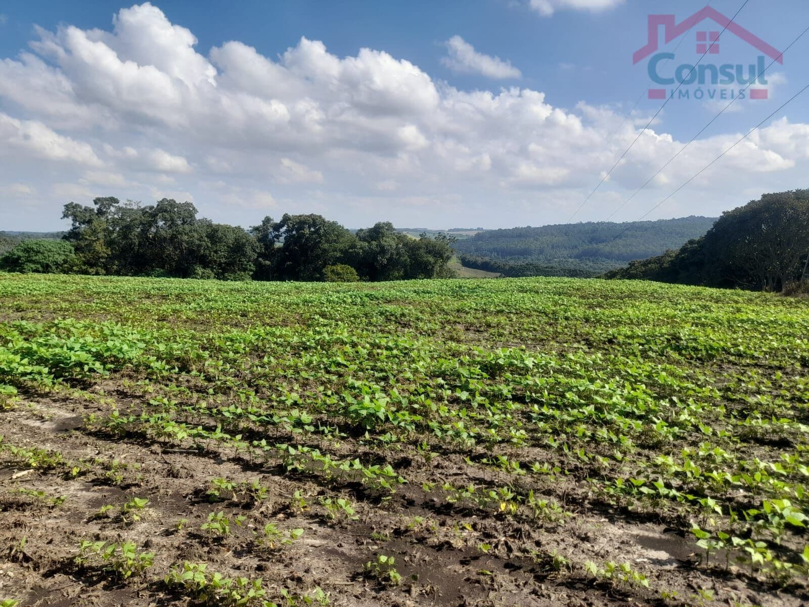 Área Rural 5,00 Alqueires - Lagoão!