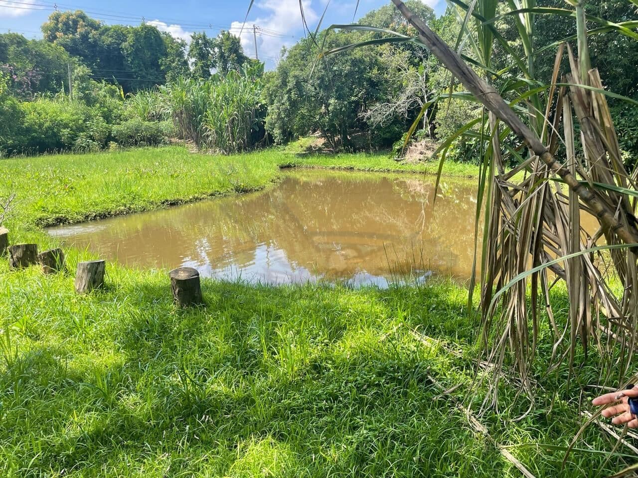 Chácara em Recanto Beira Rio, Itatiba/SP