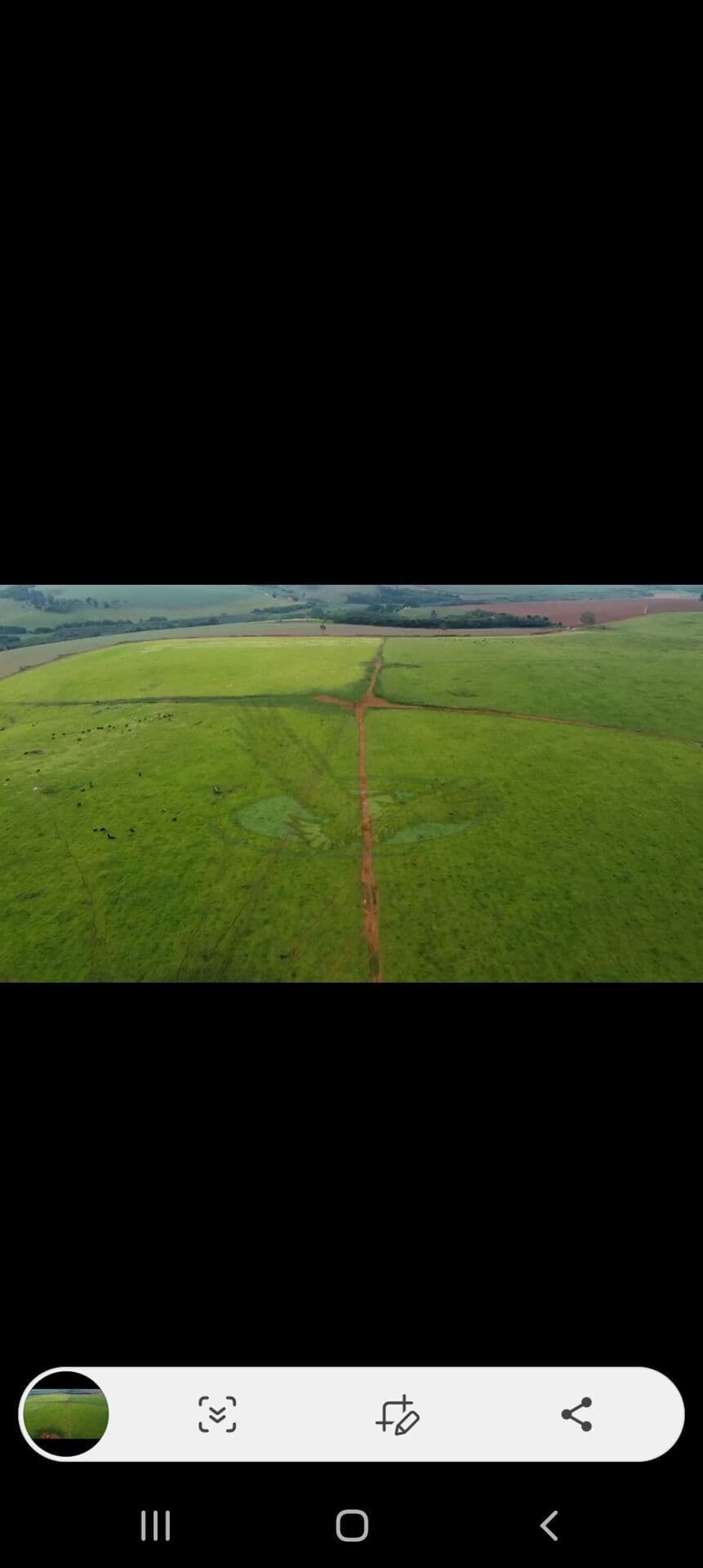 Fazenda/Sítios/Chácaras em Machado - Centro