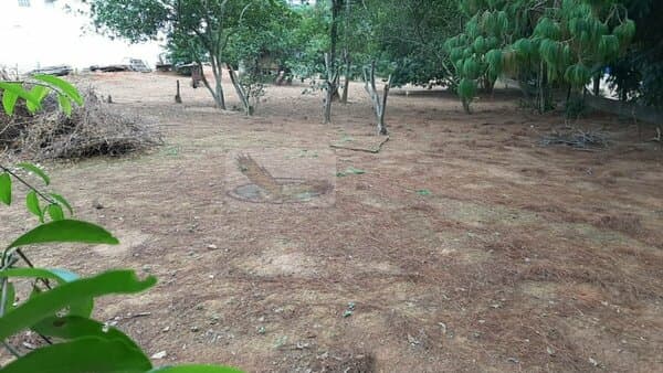 Terreno Lote para Venda em Jardim Alto de Santa Cruz Itatiba-SP