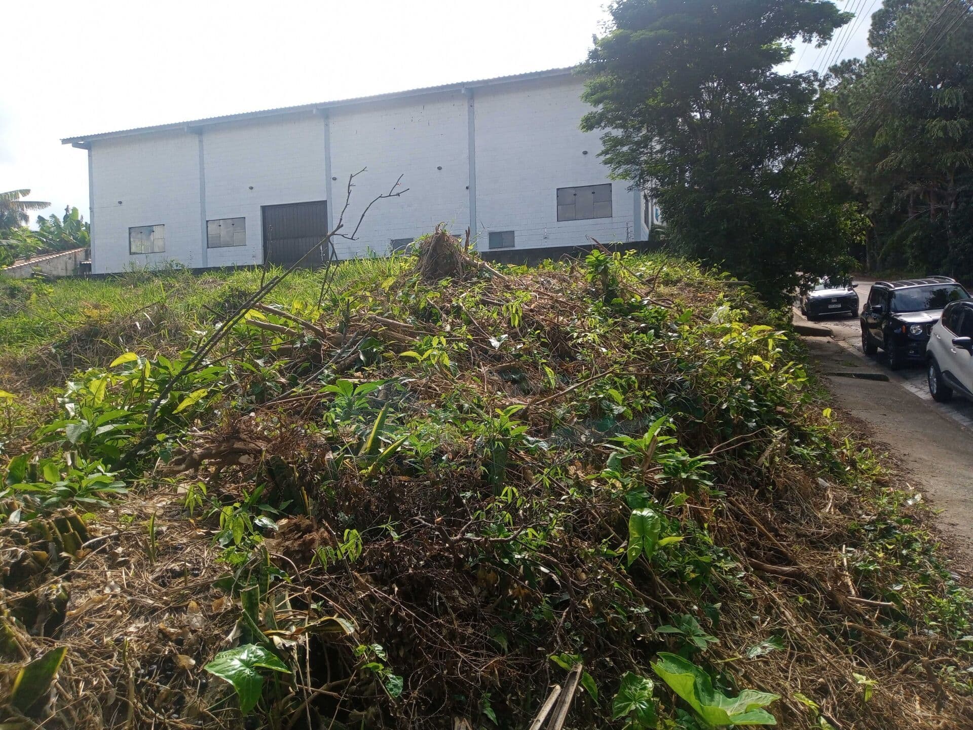 Terreno Industrial