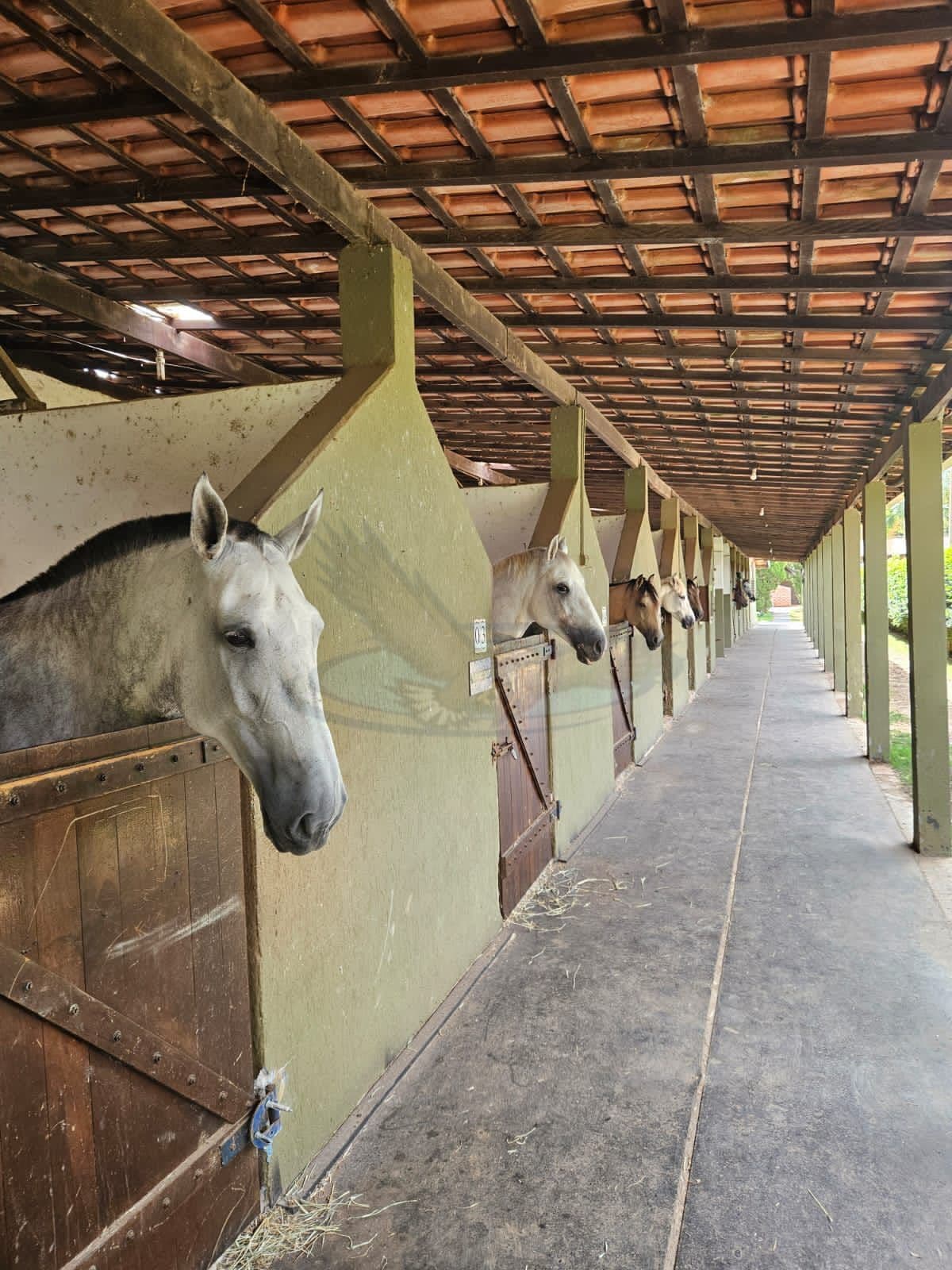 Fazenda/Sítios/Chácaras em Atibaia - Jardim Brogotá