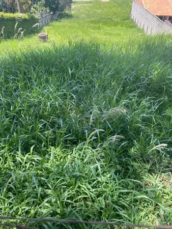 Lote/Terreno em Itatiba - Jardim Leonor