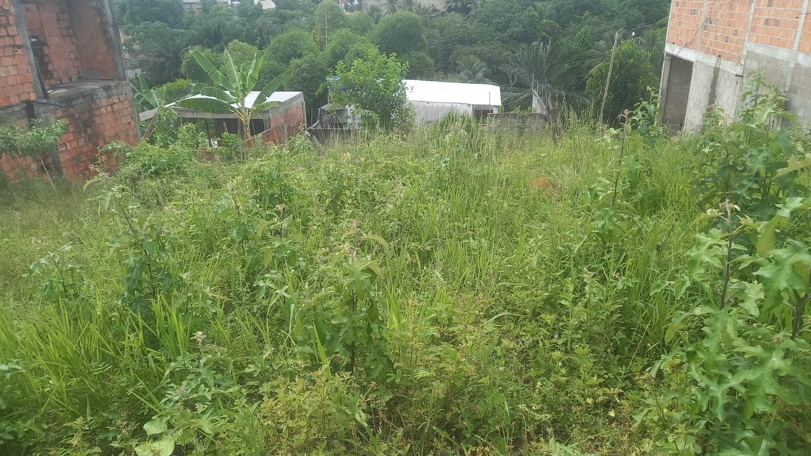 Lote/Terreno em Lauro de Freitas - Vida Nova