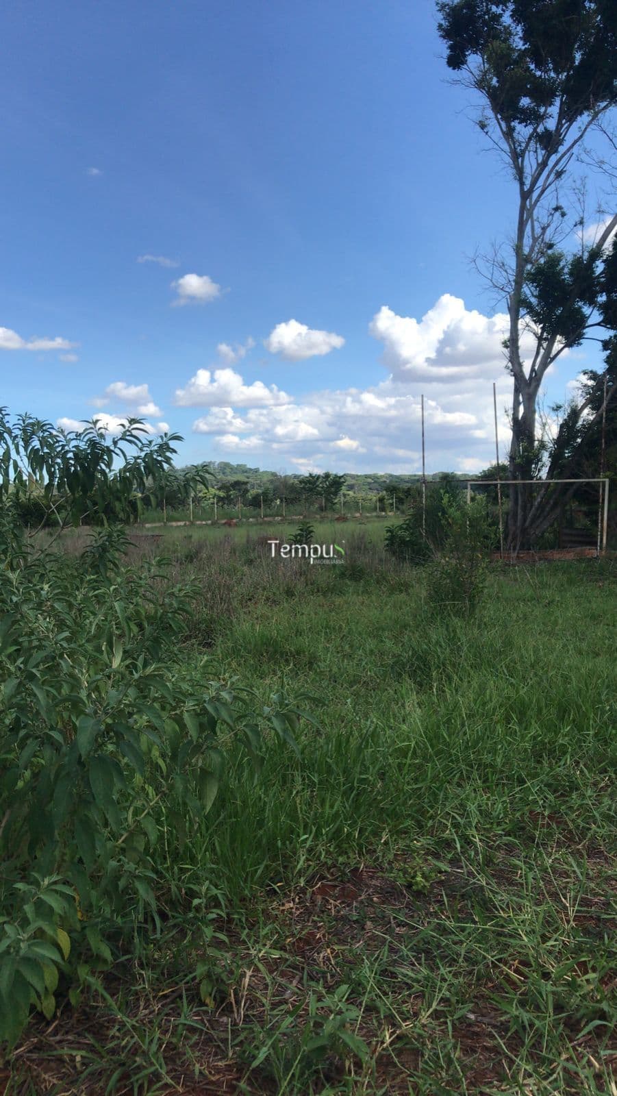 Chácara à Venda no Parque Maracanã – Goiânia/GO | 12.000m² de Natureza e Tranquilidade