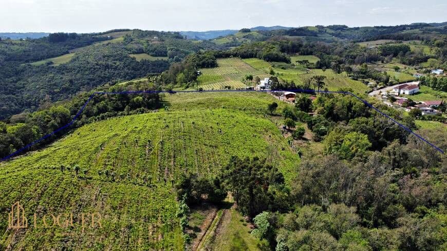 24 Hectares em Monte Belo