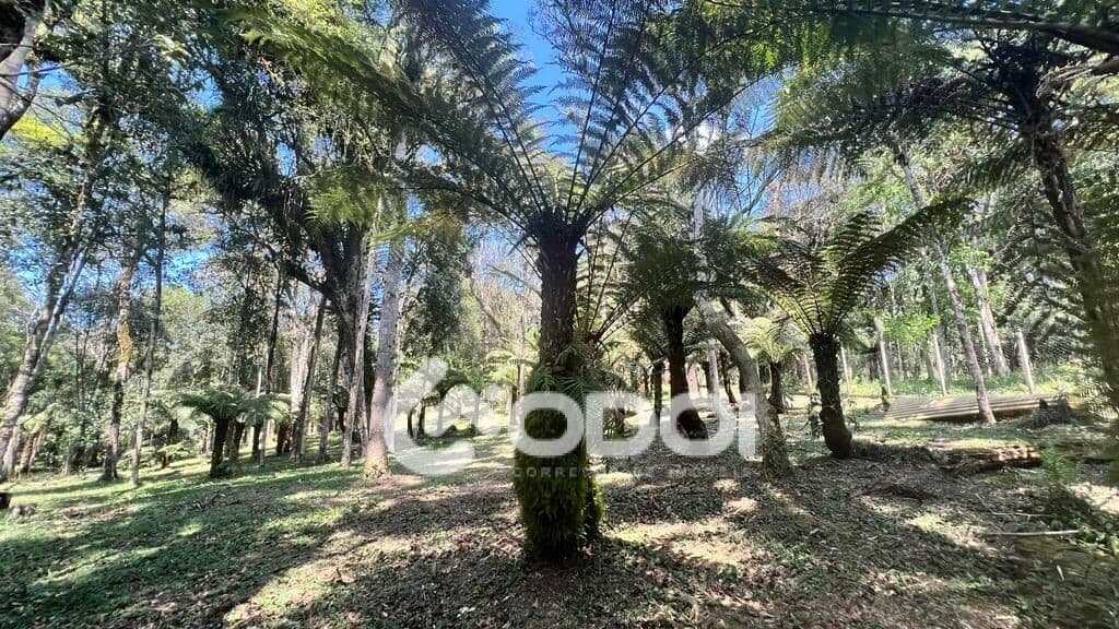 Chácara na Borda do Campo