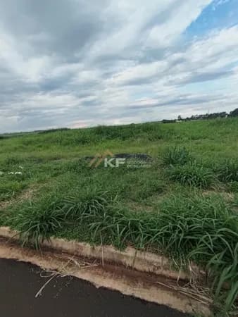 Terreno Comercial ou Residencial - Vivendas da Mata Ribeirão Preto SP