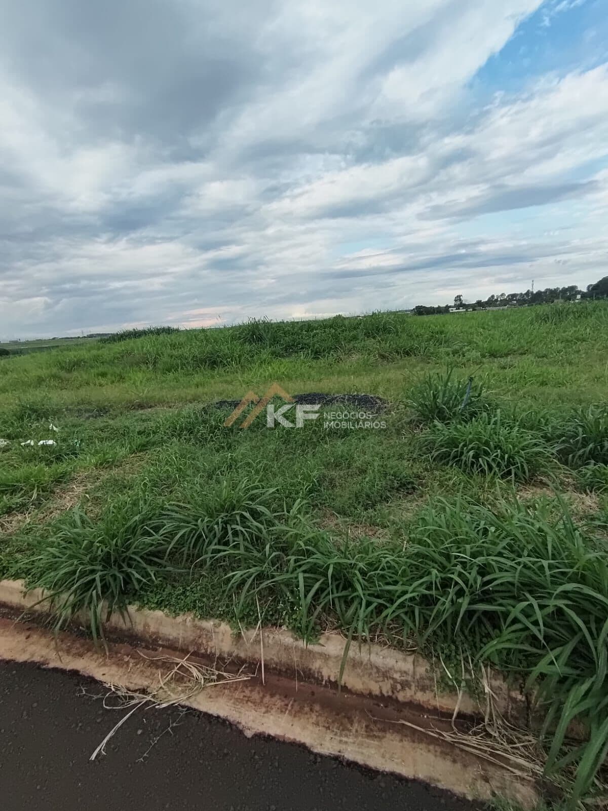Terreno Comercial ou Residencial - Vivendas da Mata Ribeirão Preto SP