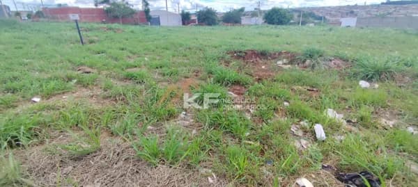 Terreno à venda - Bella Cravinhos 1 - Cravinhos / SP