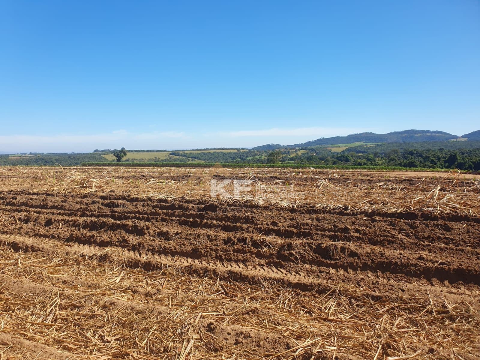 Sítio à venda na região de Ribeirão Preto SP