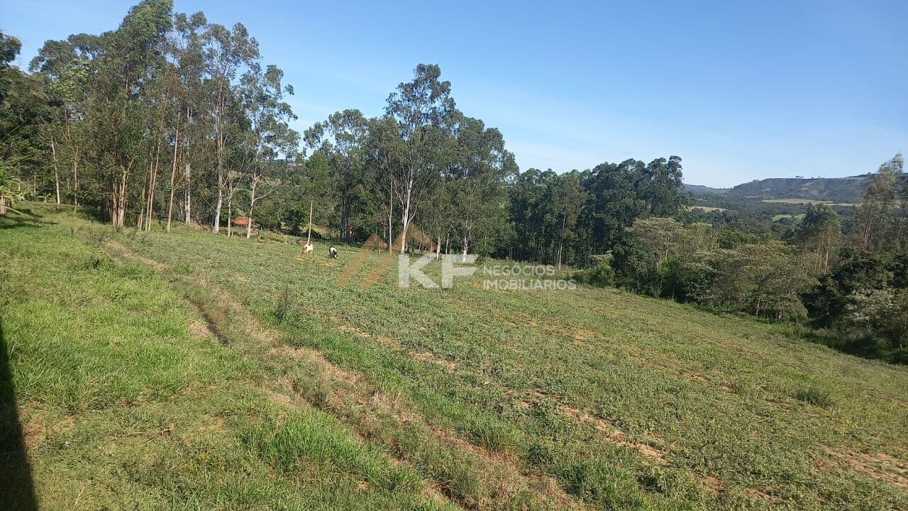 Sítio á Venda Santo Antonio da Alegria- SP