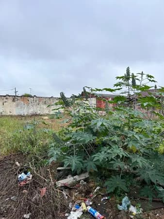 Terreno á venda - Ribeirão Preto/SP