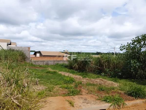 Terreno à venda - Reserva Macaúba - Ribeirão Preto SP