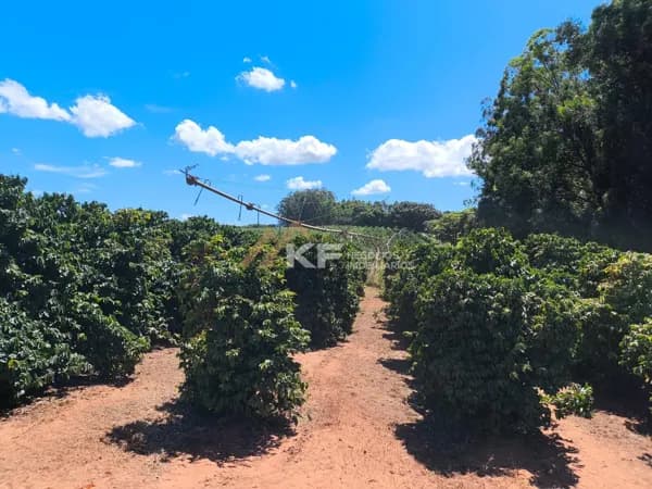 Fazenda em São José do Rio Preto- SP