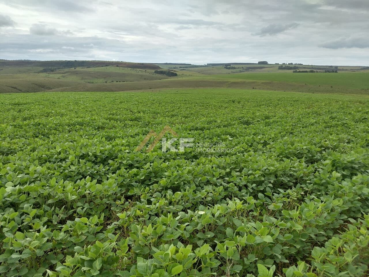 Fazenda a Venda no Triângulo Mineiro- Sacramento-MG