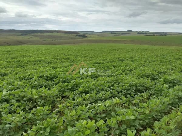 Fazenda a Venda no Triângulo Mineiro- Sacramento-MG
