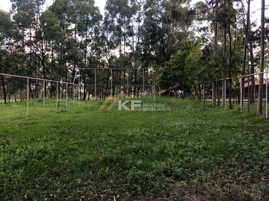 Sítio - à venda na Região de Ribeirão Preto