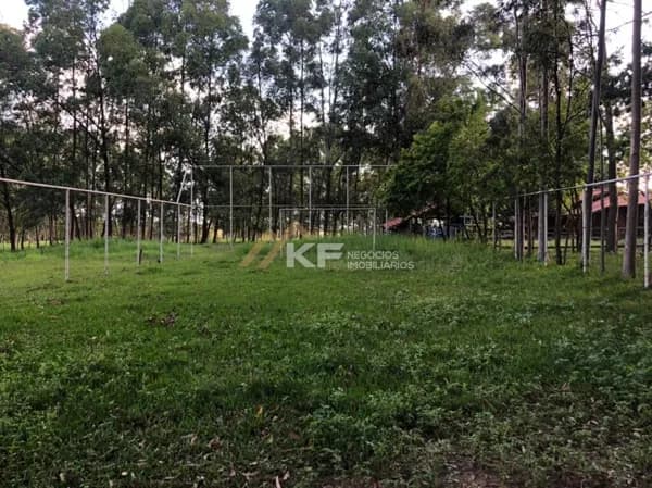 Sítio - à venda na Região de Ribeirão Preto
