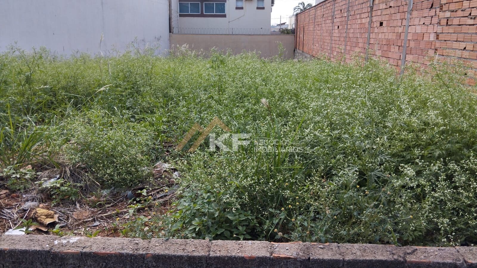 Terreno á Venda - Jardim Califórnia - Plano - Ribeirão Preto SP