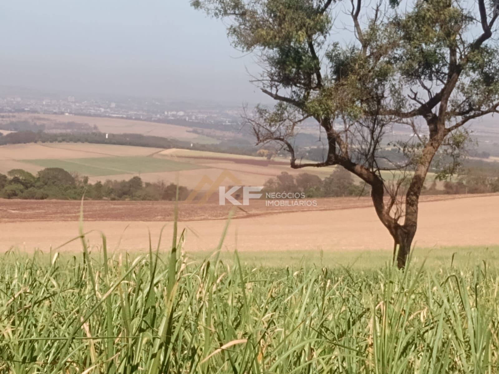 Fazenda à Venda na Região de Brodowski-SP