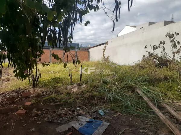 Terreno à venda - Santa Cecília - Bonfim Paulista/SP