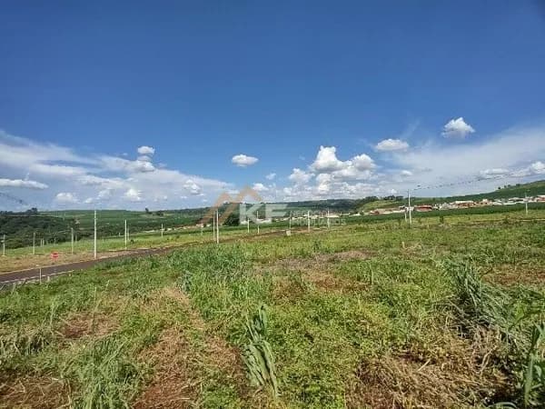 Terreno à venda - Residencial Belvedere - Ribeirão Preto/SP