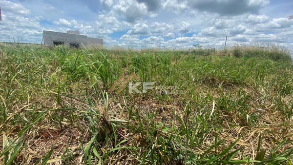 Terreno de Esquina no Bella Cravinhos 2- Cravinhos/SP