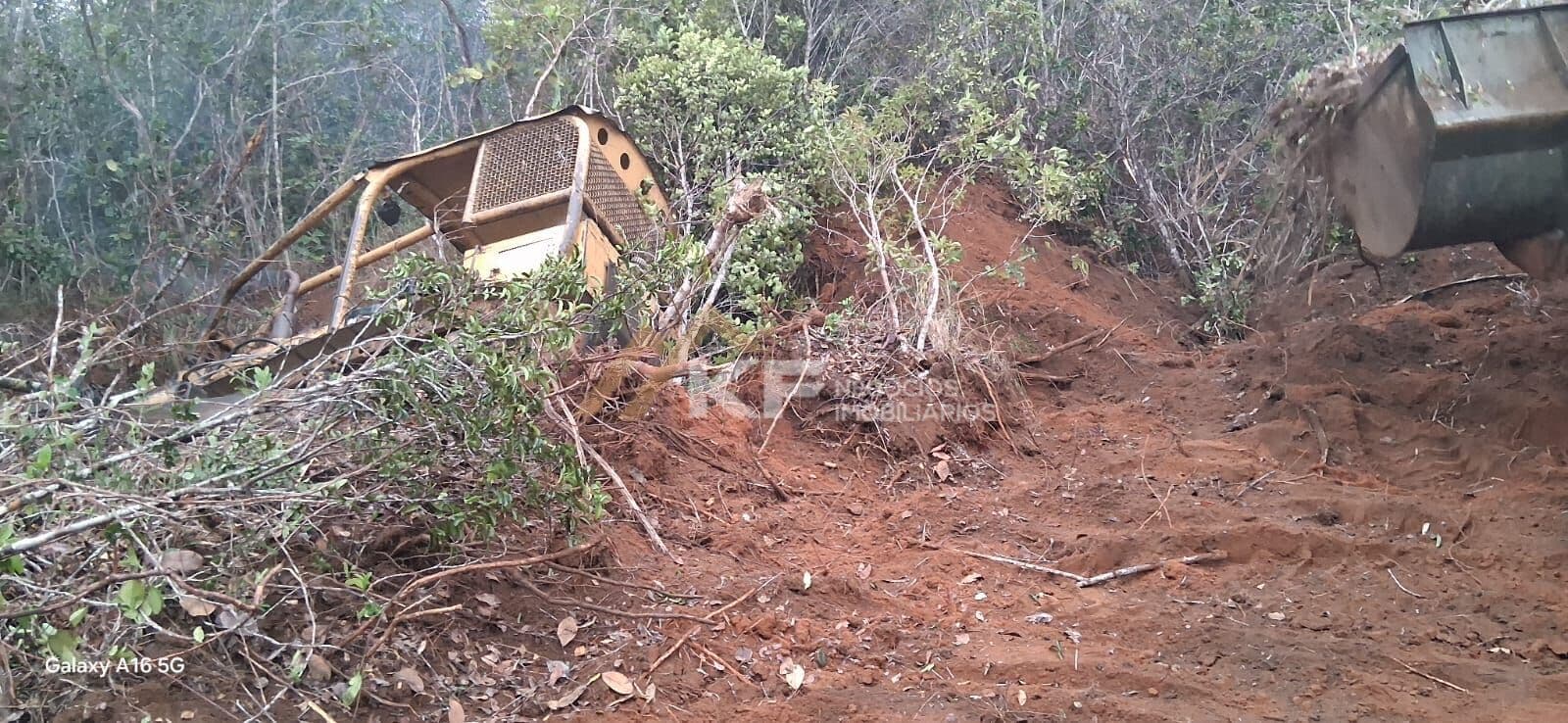 Fazenda em Pedra Azul Mina Gerais