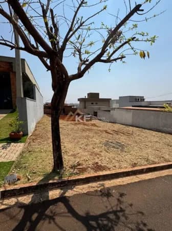 Terreno em Condomínio à Venda no Terras de San Pedro - Ribeirão Preto / SP