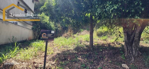 Lote/Terreno em Santo Antônio de Pádua - são felix