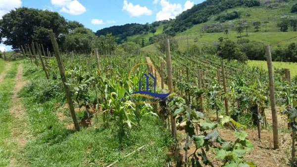 Fazenda/Sítios/Chácaras em Bocaina de Minas - Centro