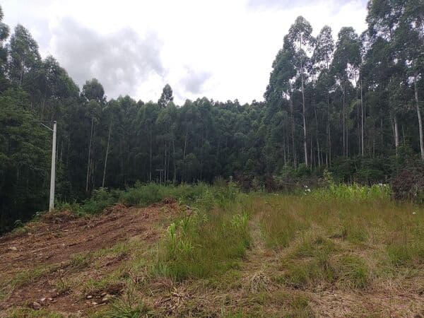 Área à venda Santo Antônio de Castro - Carlos Barbosa/RS