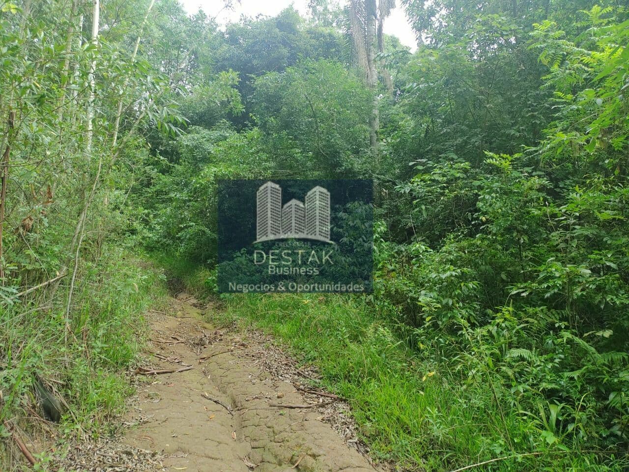 Área Rural (Área para Sitio)