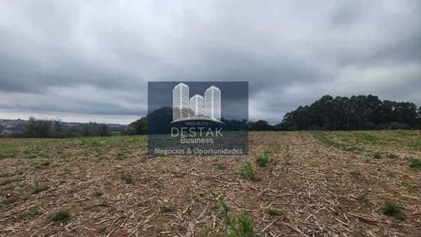 Área Rural em Primeira secção de castro, Carlos Barbosa/RS
