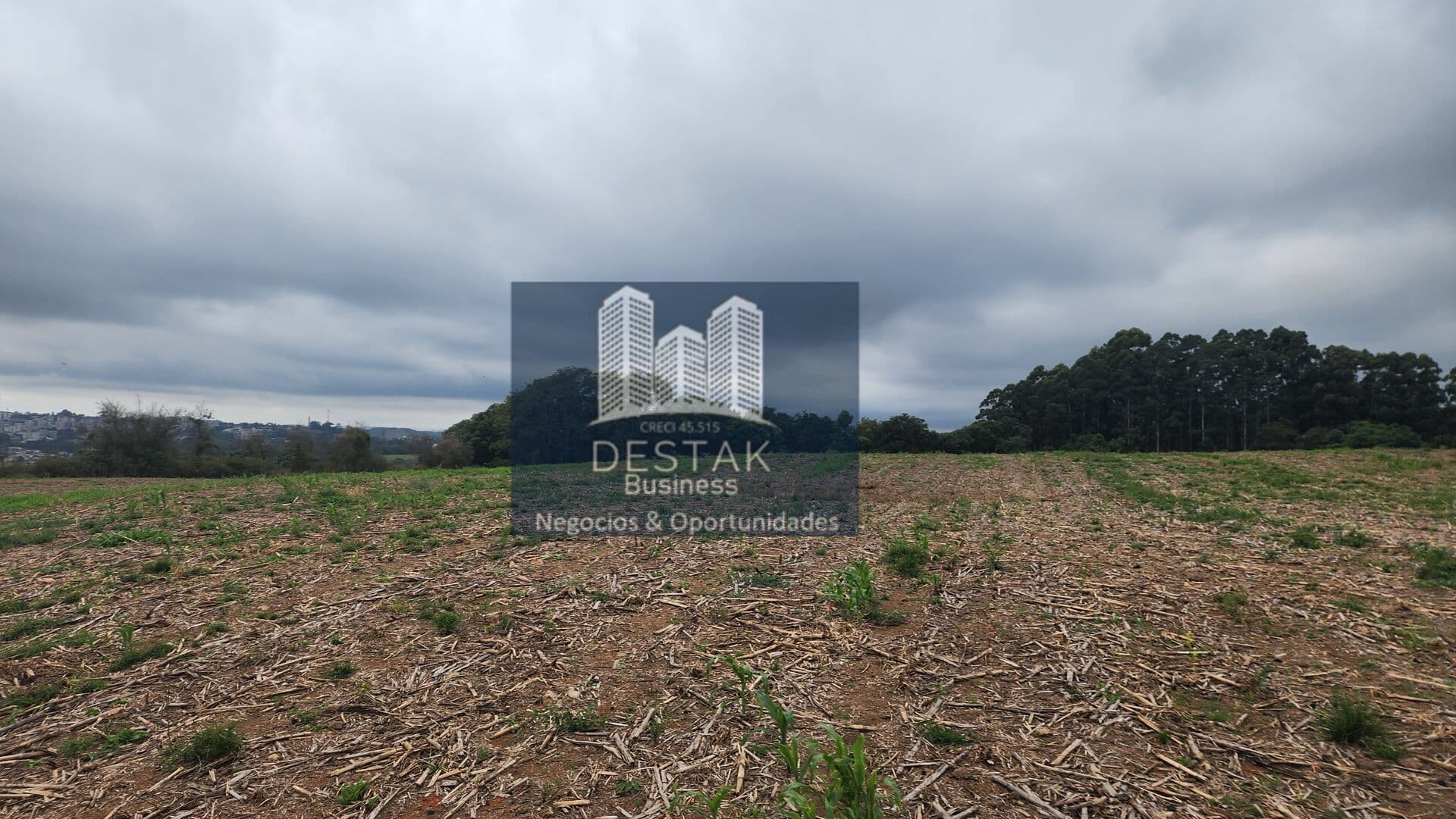 Área Rural em Primeira secção de castro, Carlos Barbosa/RS