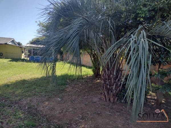 Lote/Terreno em São Leopoldo - Duque de Caxias