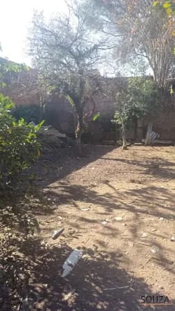Lote/Terreno em São Leopoldo - Scharlau