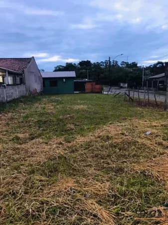 Lote/Terreno em São Leopoldo - Feitoria