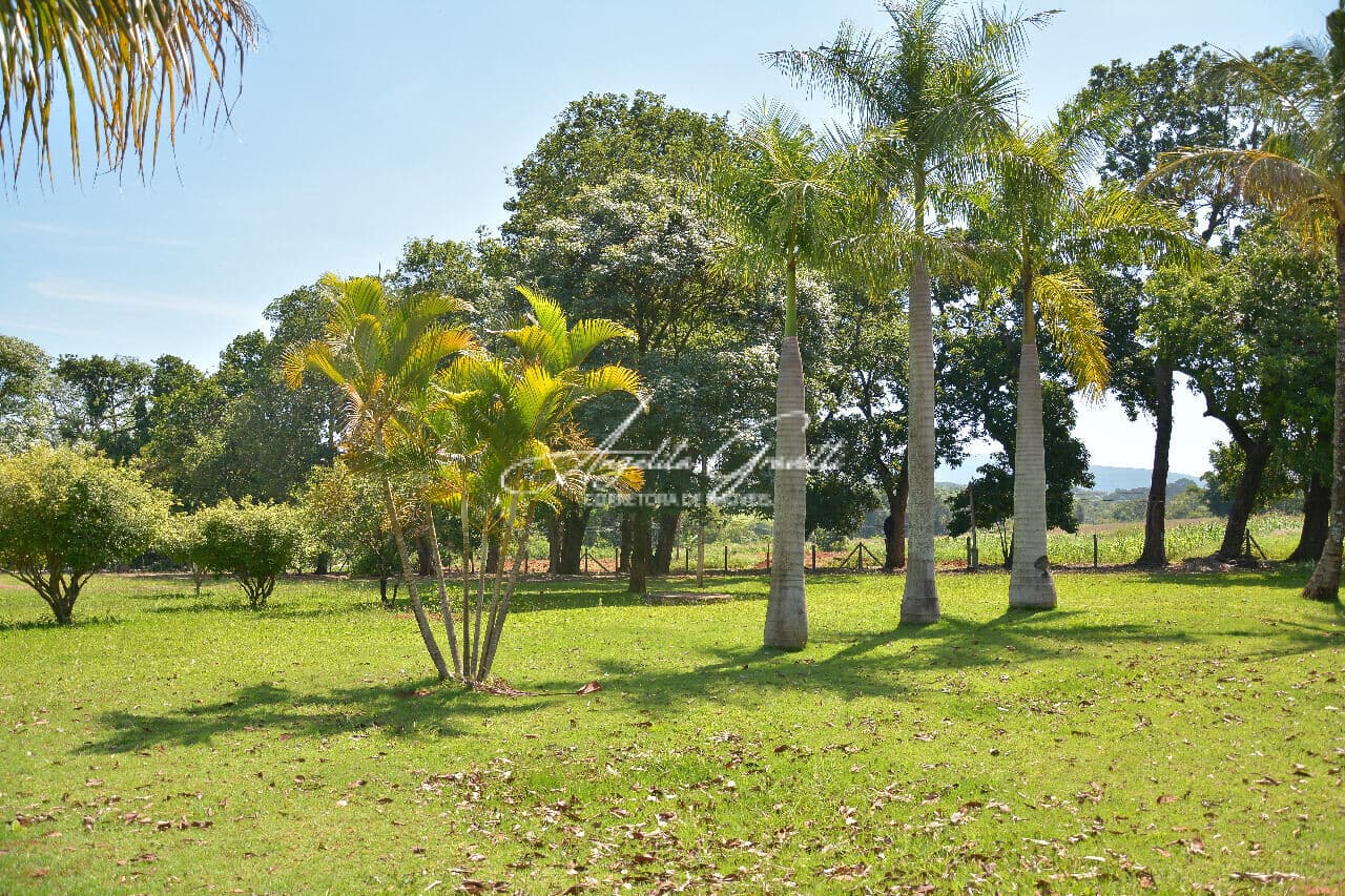 Área