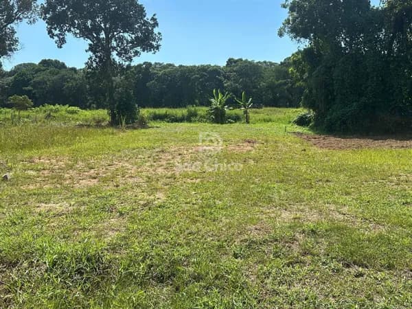 Lote/Terreno em São Francisco do Sul - Sandra Regina