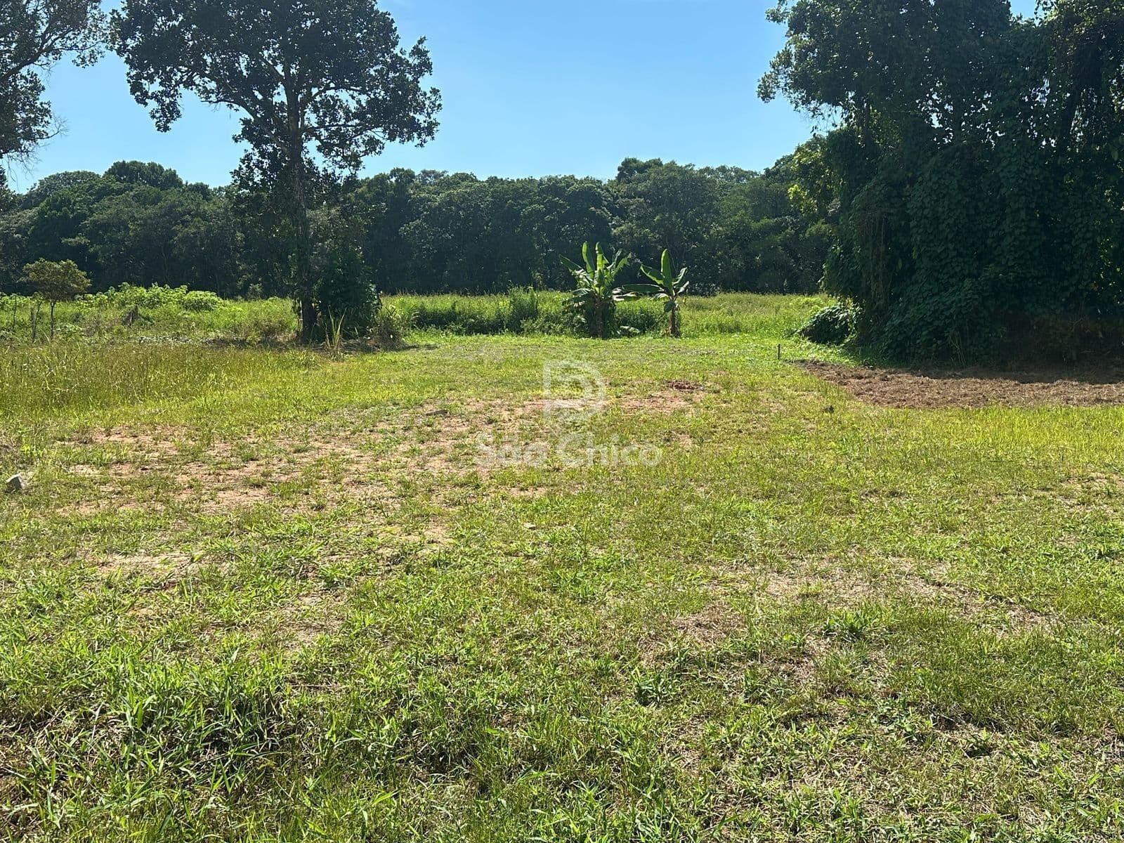 Lote/Terreno em São Francisco do Sul - Sandra Regina